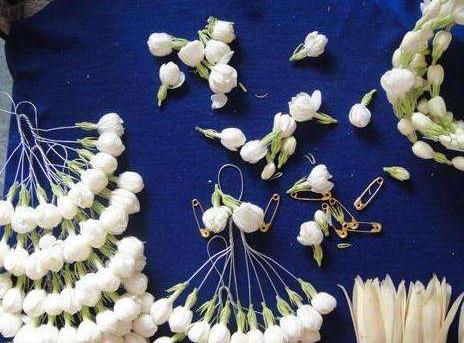 香味跟栀子花一样的花,栀子花与玉兰花哪个更香一些