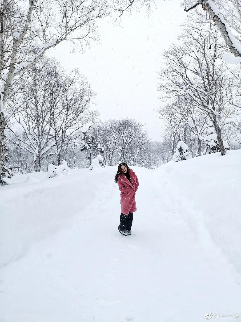 「早晚要认识」帅气逼人的国脚杨旭和他美艳女主持太太