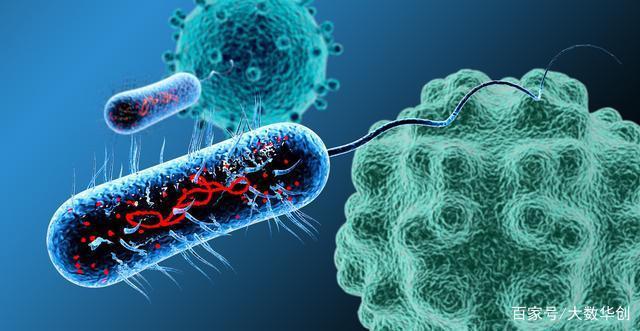 免疫治疗药物怎么选择,8项免疫治疗