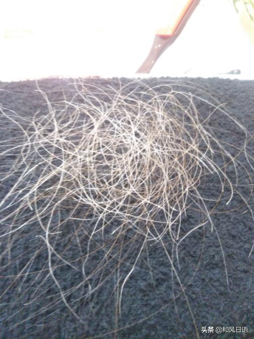 日本拔白头发的店,日本拔白头发神器正品货