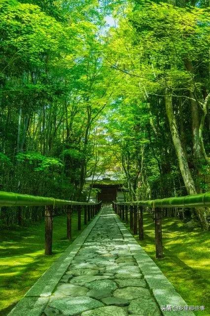 惊艳,百年罕见的绝世美照