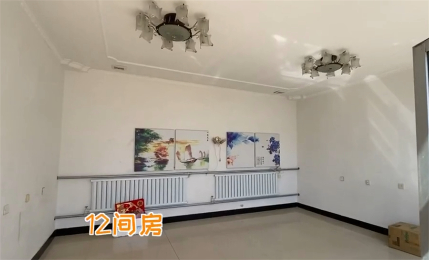 花8万改造北京小院,北京姑娘214天改造小院