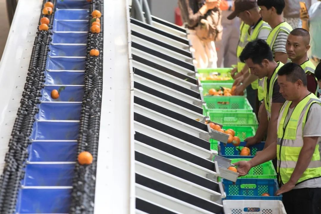 8家上市快递公司半年报对比，顺丰收入第一，中通利润及业务量均第一，快递公司开始由“量”向“质”转变