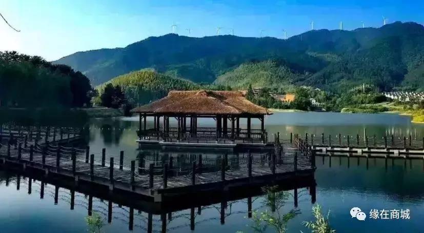 「品读」我的前男网友——以后真的不单独见面吗?/江河之王