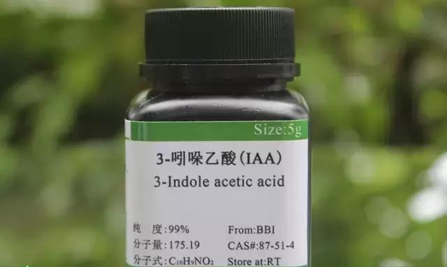 生长素和细胞分裂素是植物激素吗,生长素脱落酸赤霉素细胞分裂素