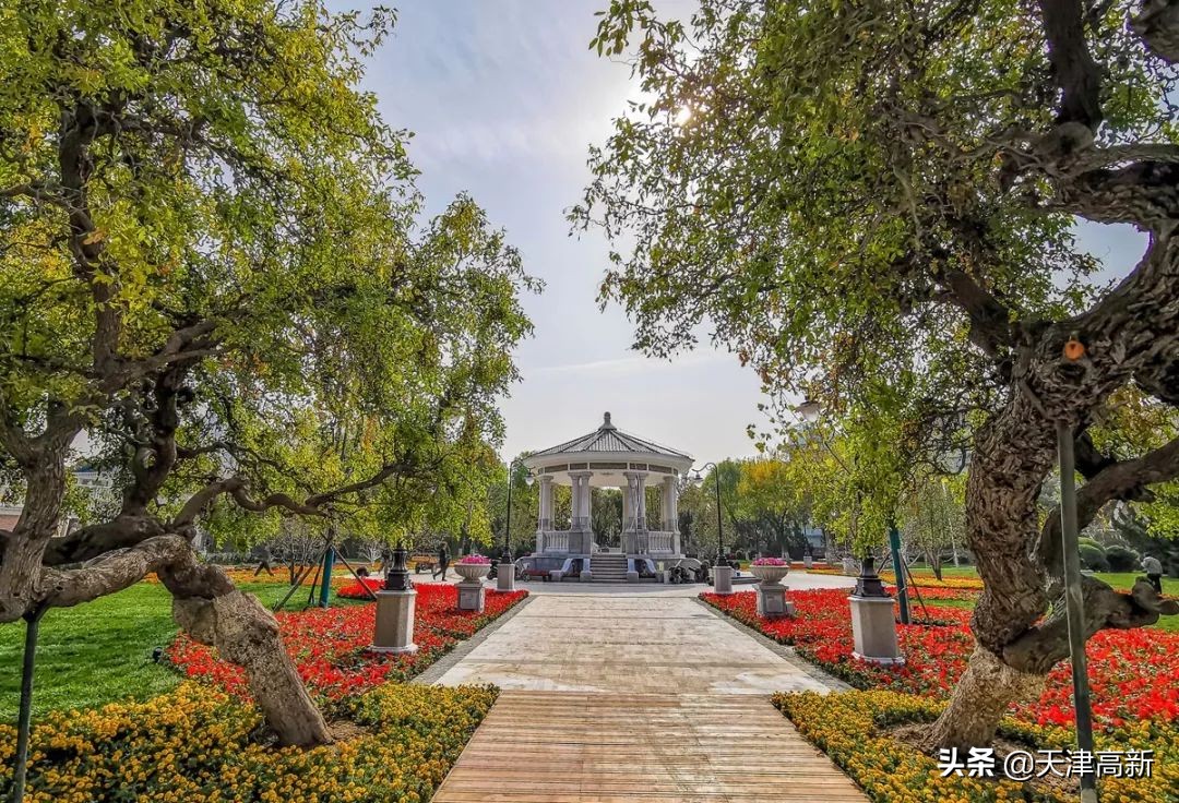 天津即将完工的公园,天津2022年四月开放的公园