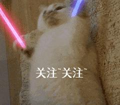 狗狗唤回训练的方法,训练狗狗叫的方法