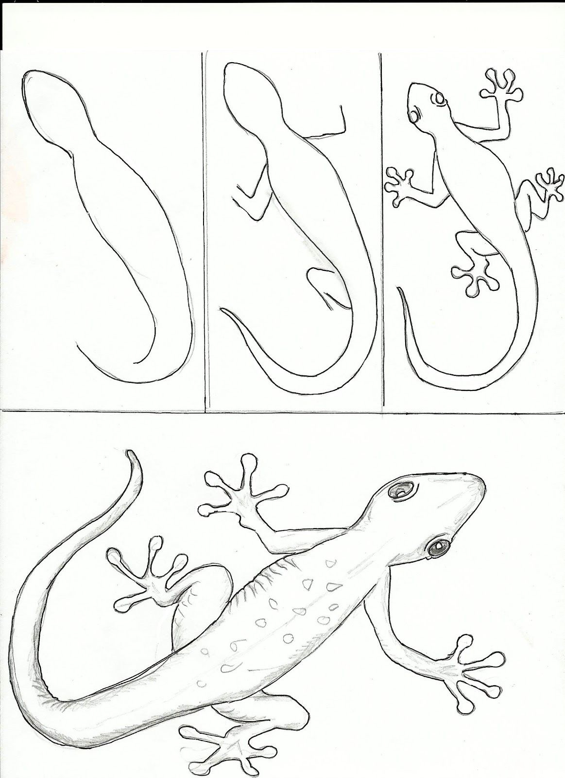 卡通图片动物大全可爱简单萌萌哒,简单画教程可爱小动物