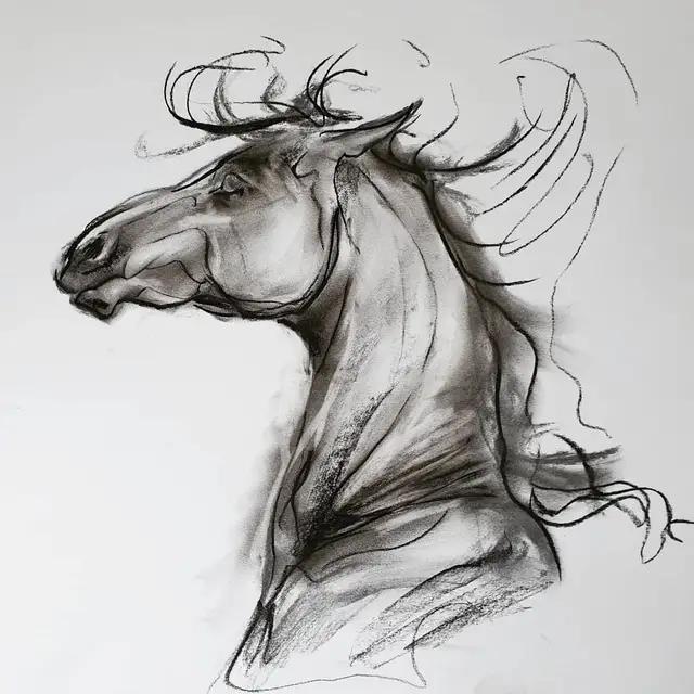 马怎么画简单图画,马怎么画更真实