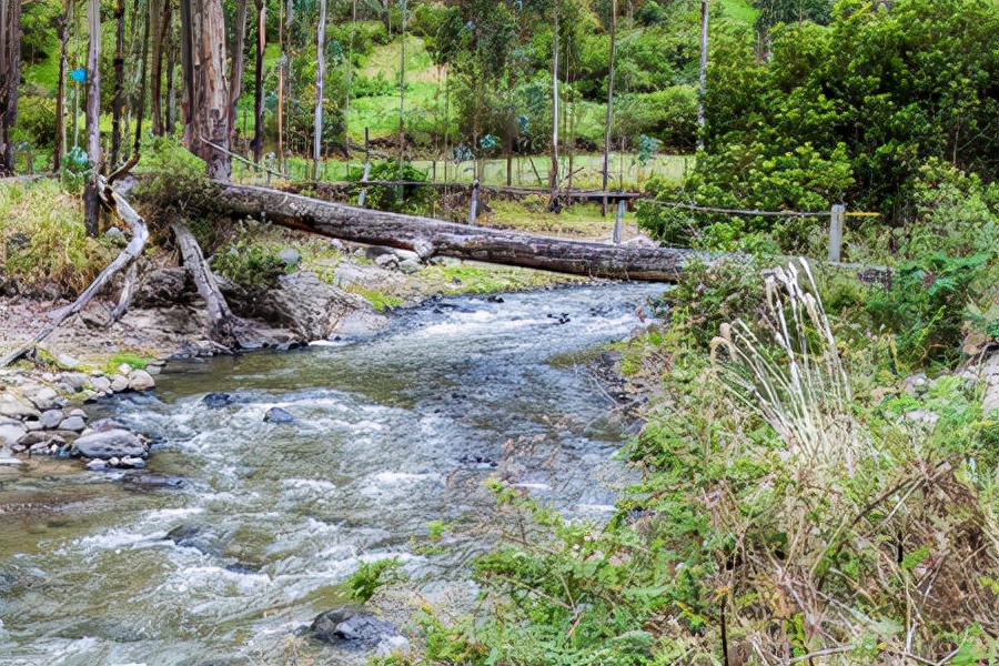 悬索桥受力是什么原理,悬索桥晃动问题如何解决