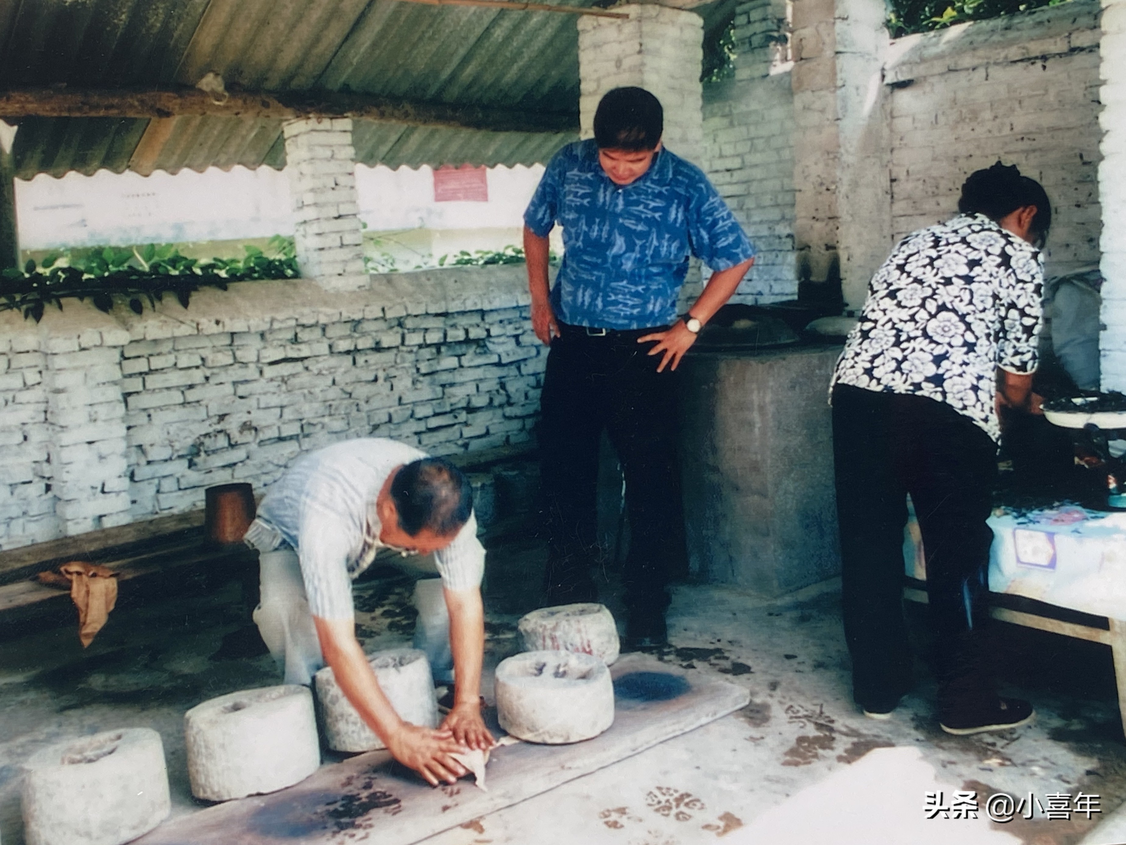 茶科普知识,茶科普视频开头