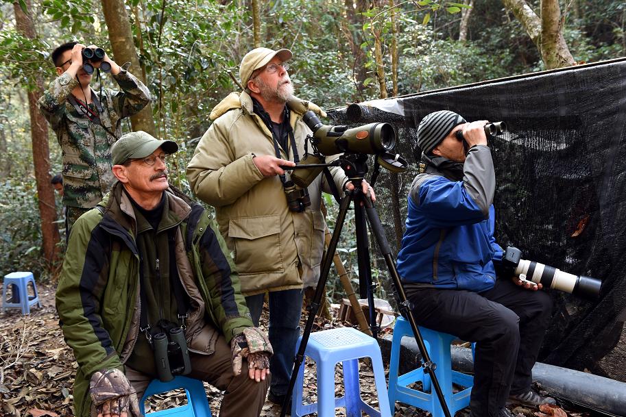 中国绿都最氧三明,中国最氧三明花海