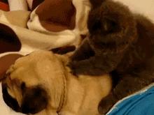 从4000掉到500，依赖网红出名的“筋膜枪”背后不为人知的秘密