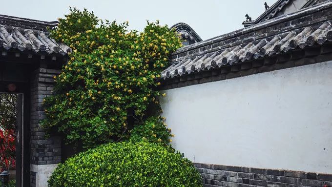 烟台哪里的消费最高,盘点什么烟台最贵