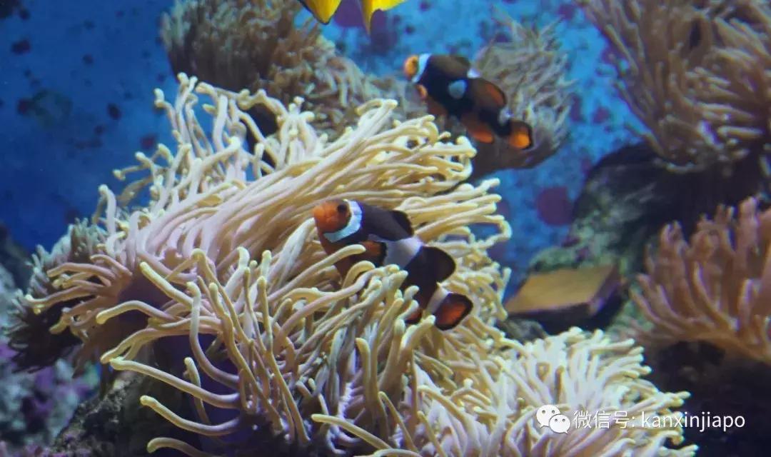 圣淘沙游玩路线攻略,圣淘沙名胜世界免费吗