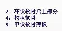 喉部病变做核磁还是ct,耳鼻喉科常见病影像诊断