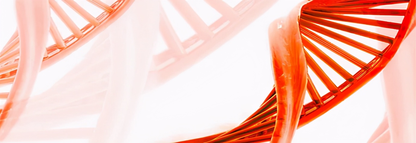 亲子鉴定那些事儿,亲子鉴定的那些事儿