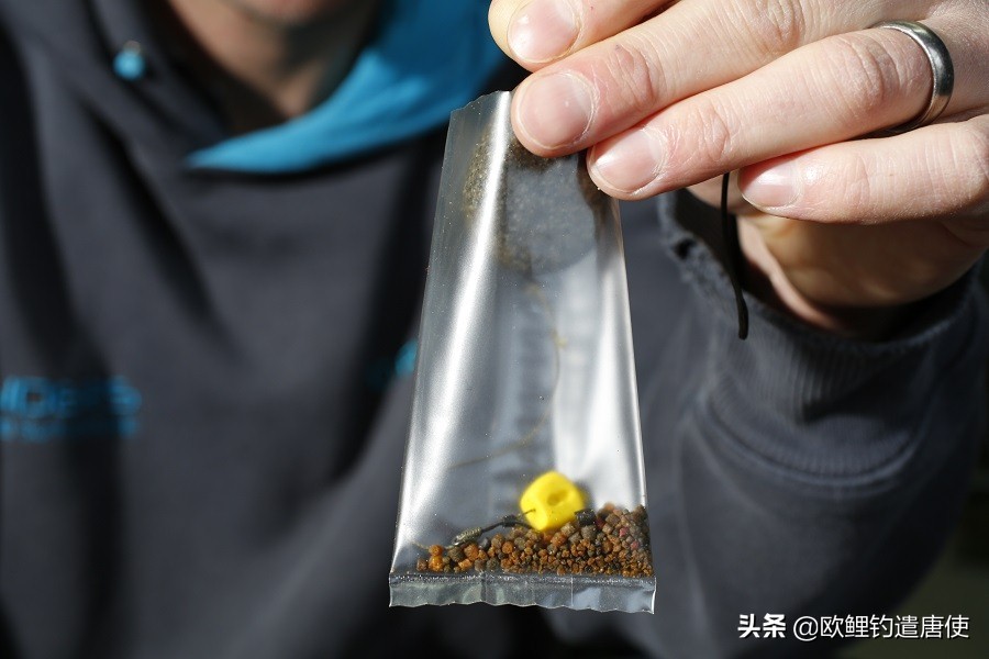 话说欧鲤之钓组篇,话说欧鲤钓