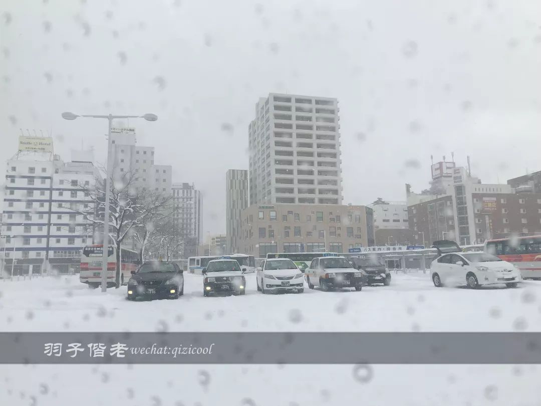 不会日语日本自由行好吗,不会日语的北海道自由行攻略