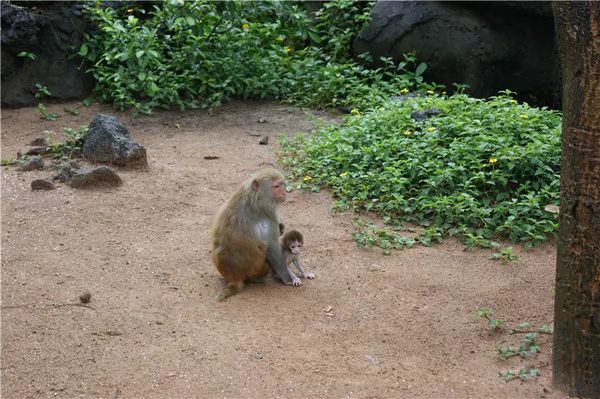 文末有福利｜带着Ta，来到这家坐拥7km的海岸线酒店