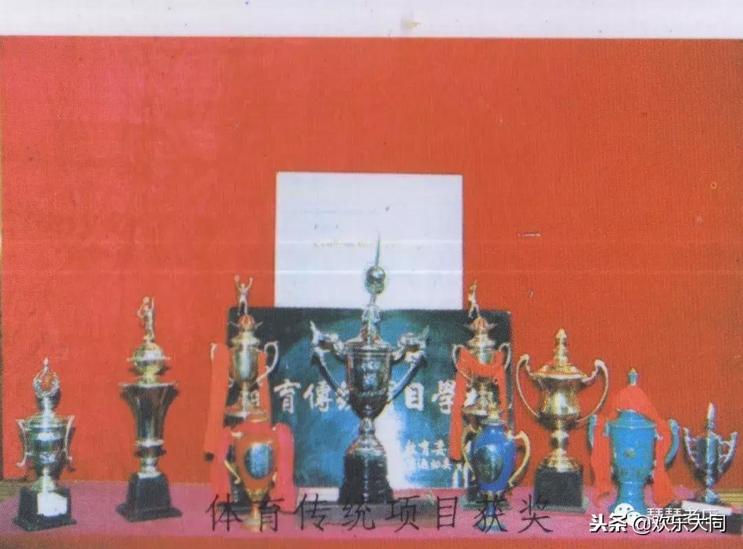 姑姑家门前的中学叫二中