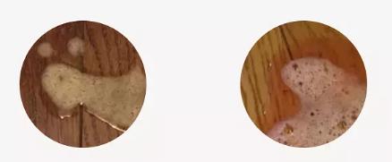 猫吐出的黄水里面有寄生虫,猫呕吐吐出虫子怎么办