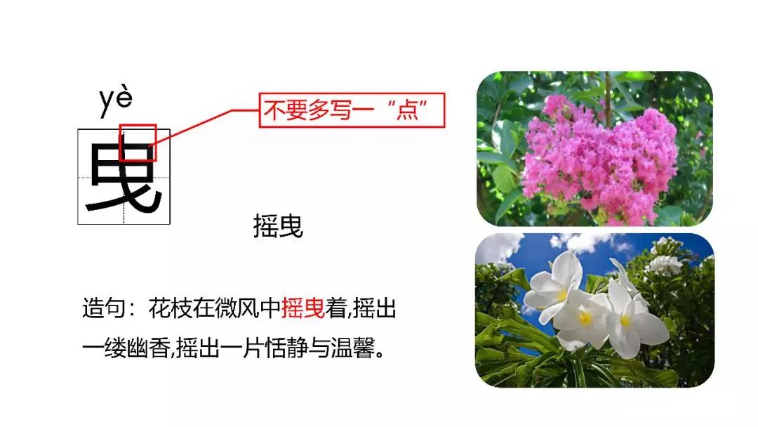 六年级上册语文第四课花之歌电子,部编版语文六年级上册花之歌讲解