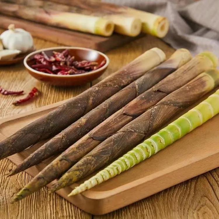 浠婃棩缇庨鎺ㄨ崘閲嶅簡灞辨按婧舵礊鐏攨,澶у▌灞辨柟绔圭瑡鐏攨