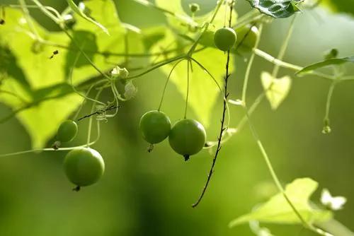 为什么定的目标总是失败,如何确定自己前进的目标