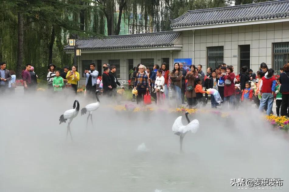 马跑泉公园有菊花展吗,庆祝菊花