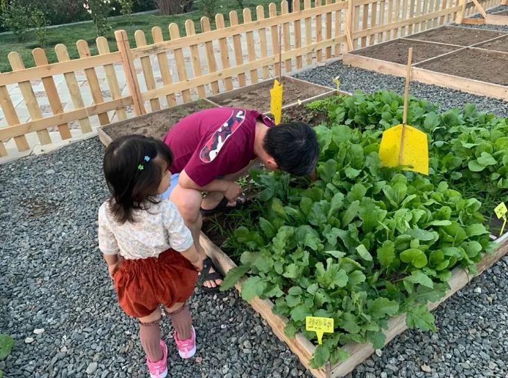 北京4月踏青的地方丰台区有哪些,丰台踏青好去处