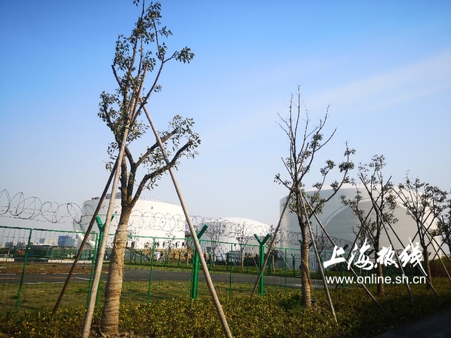 上海宁纷纷争先打卡废弃的油罐神秘的“白罐子”吸睛十足