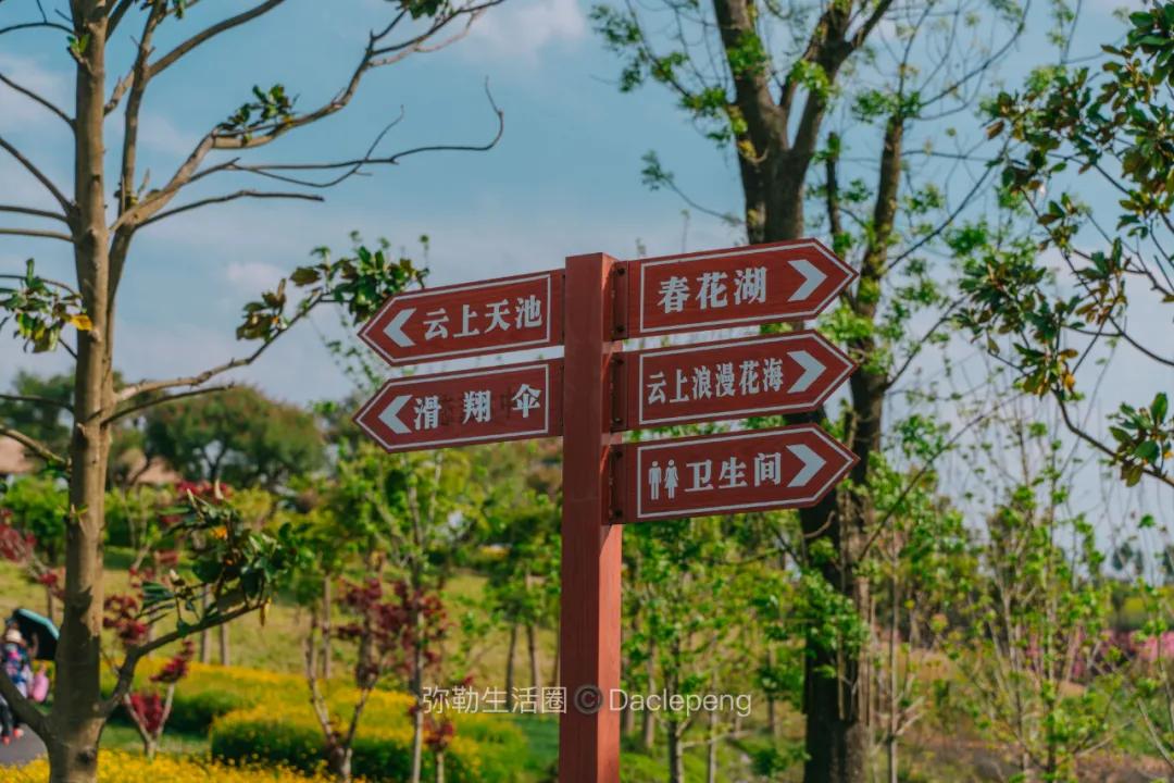 云南最美小镇图片,云南太平湖森林公园花海