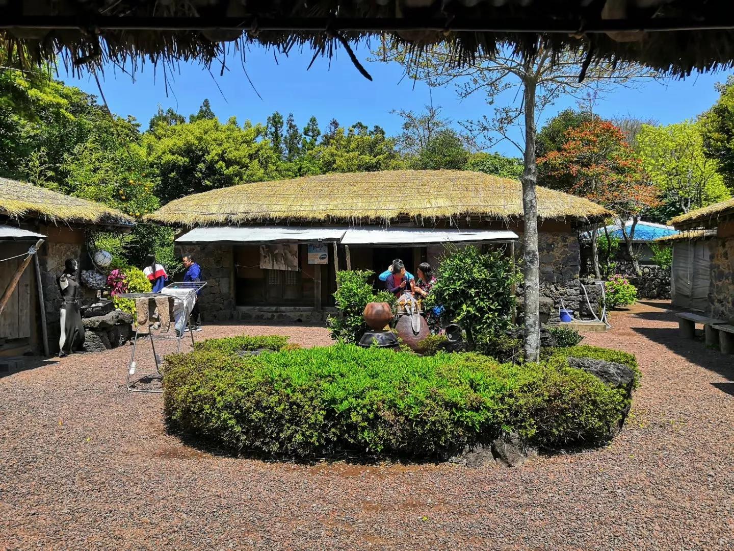在济州岛发呆的日子,济州岛散心