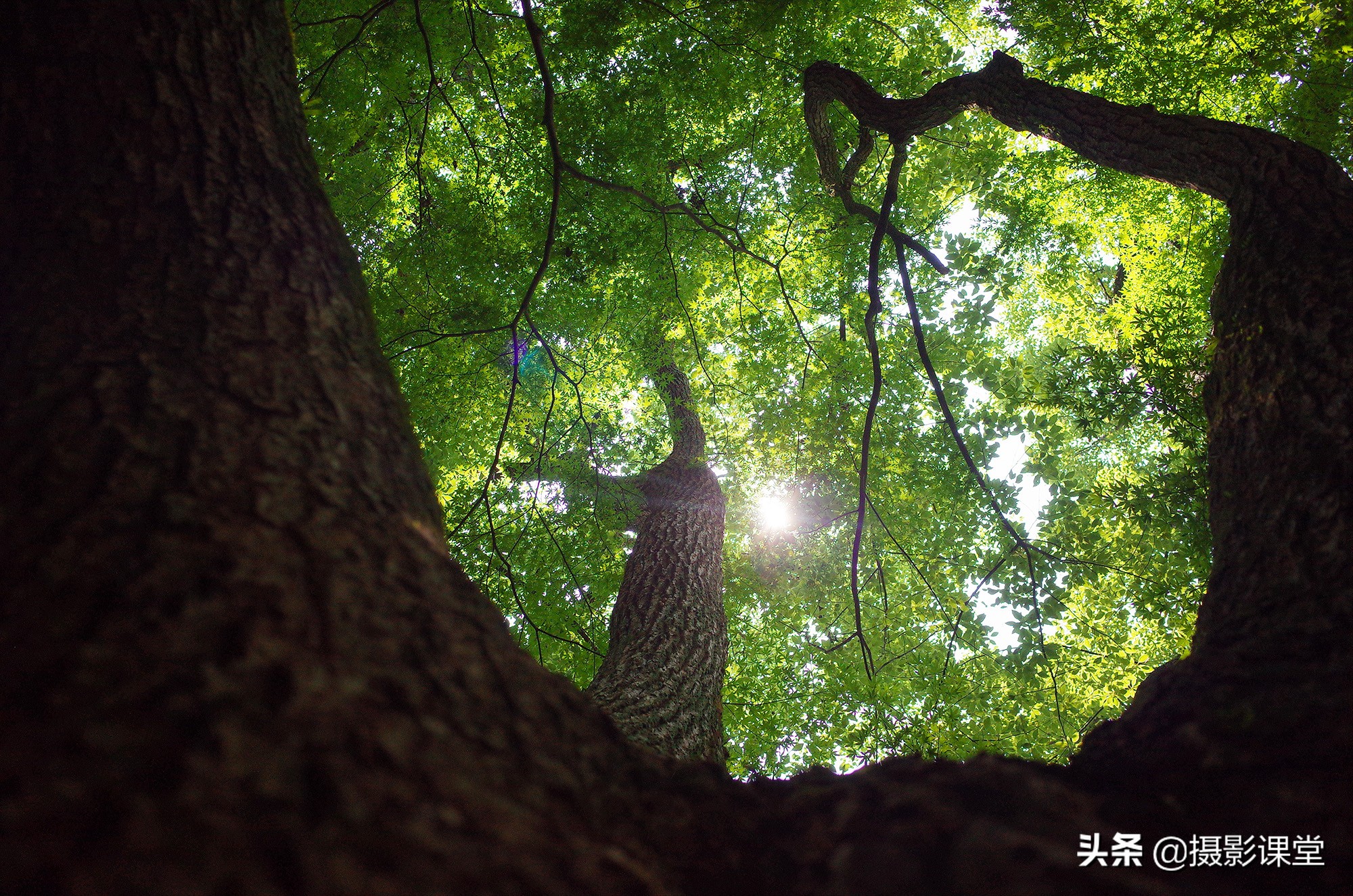 理光gr2拍照效果图,理光gr2摄影集