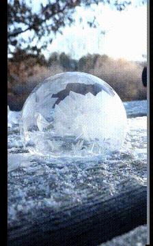 女朋友吵架被咬了打疫苗,被女朋友咬了需要打破伤风