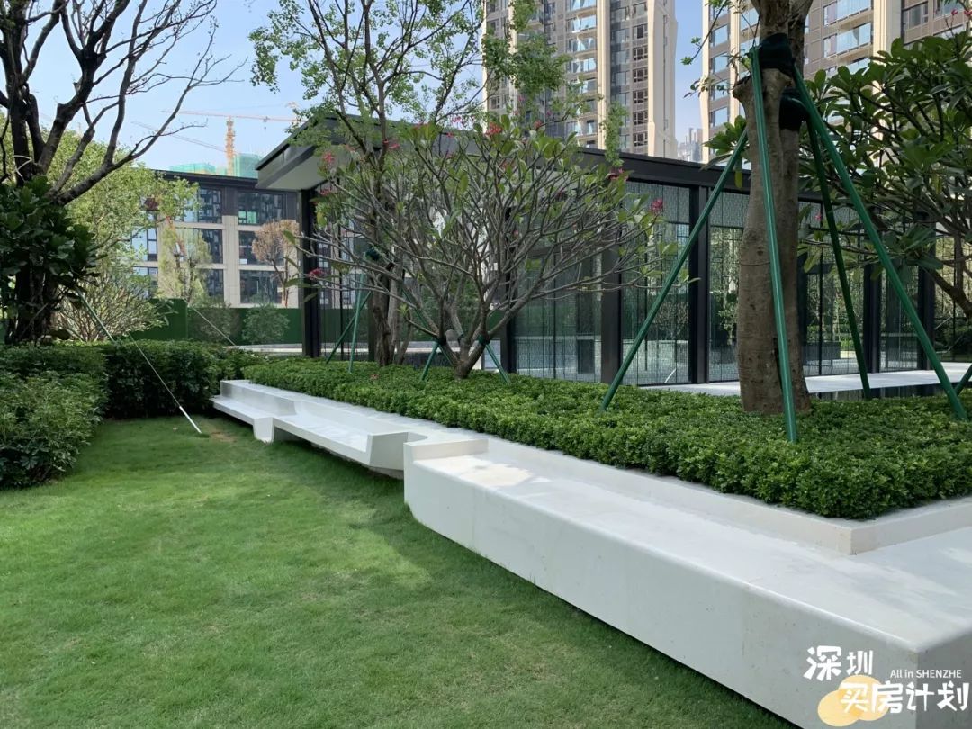 龙华金茂府185平米精装样板间,龙华区金茂府户型图