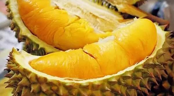 马来西亚哪里榴莲好吃又便宜,马来西亚39块钱榴莲自助