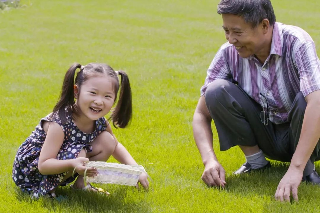 一个安徽爷爷，花1万块种出5000㎡私家花园，被评为中国最美