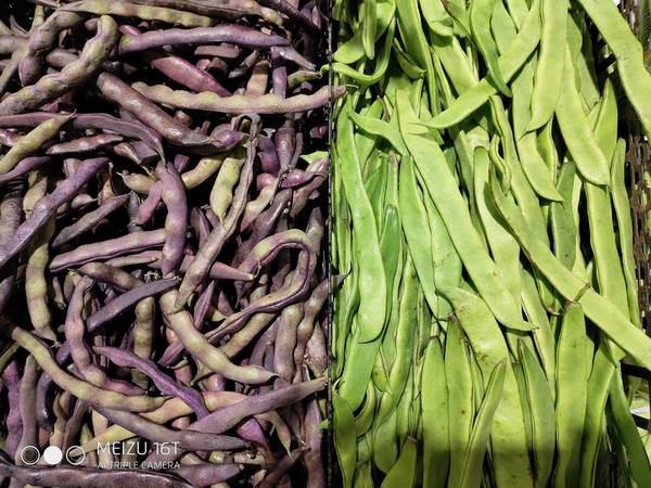 魅族16t:为娱乐而生诠释大屏美学,魅族16t正式发布对称全面屏