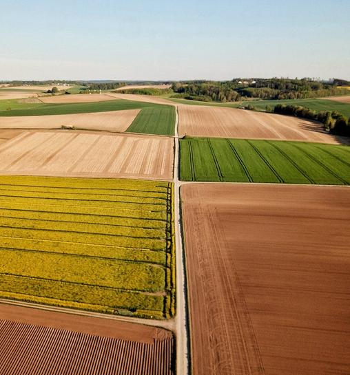 人口凋敝,第七次人口普查各大城市增量