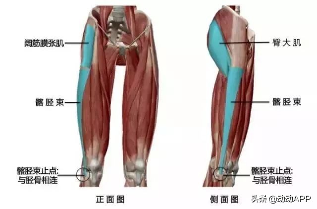 跑步时膝盖突然酸软,跑步时膝盖内侧酸疼无力