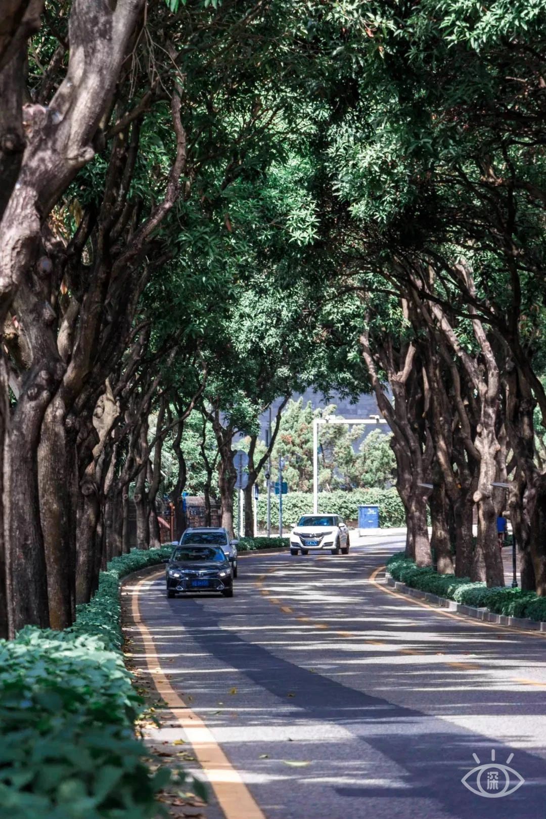 天下最美湖泊西湖,比西湖更美的湖泊