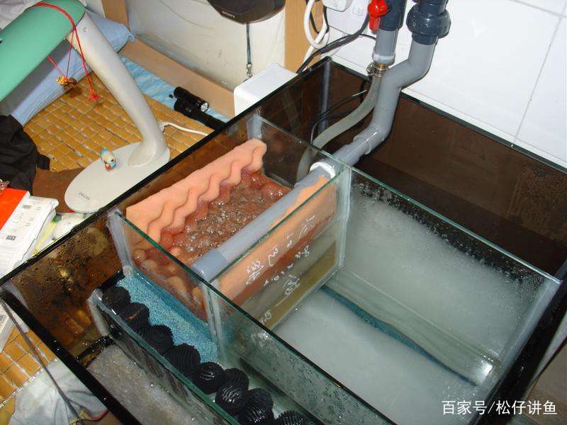 鱼缸更换过滤系统注意事项,鱼缸过滤什么方法最好呢