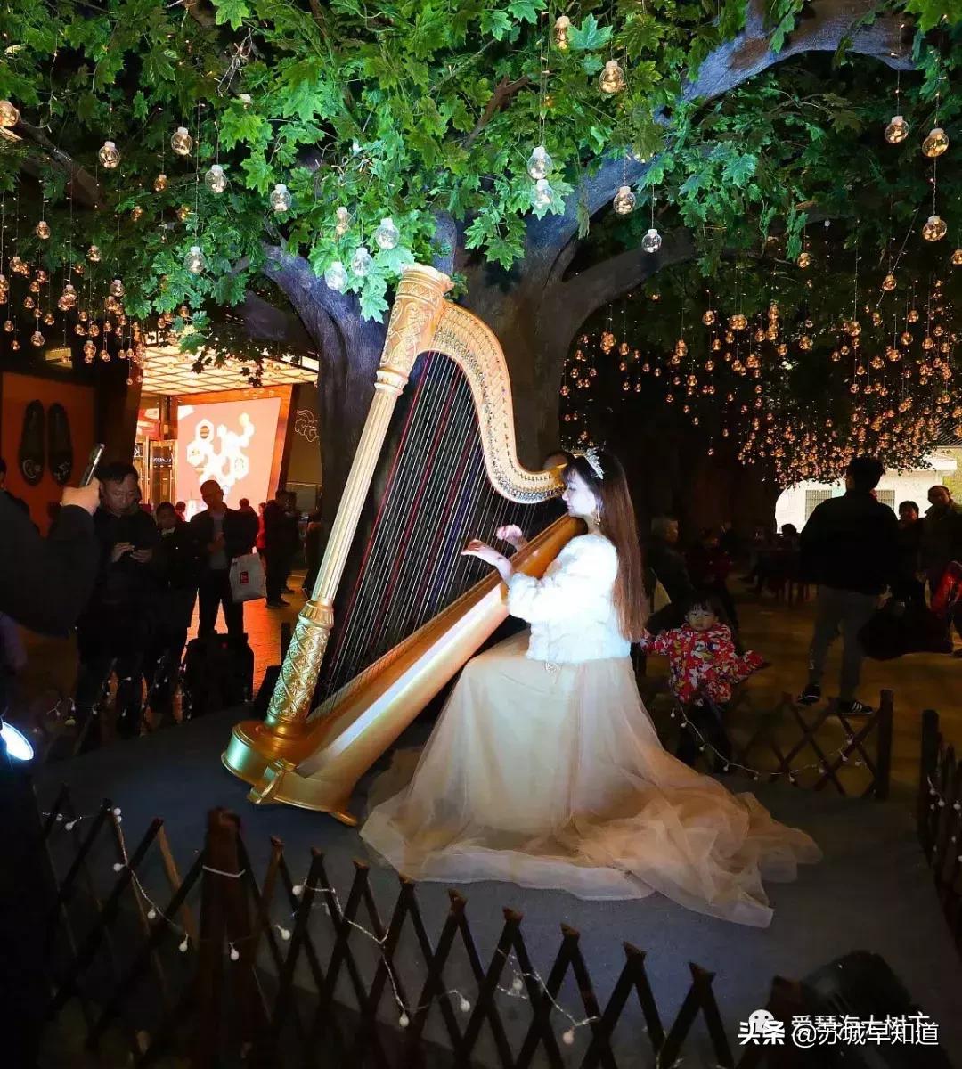 尹山湖爱琴海夜景,尹山湖爱琴海活动