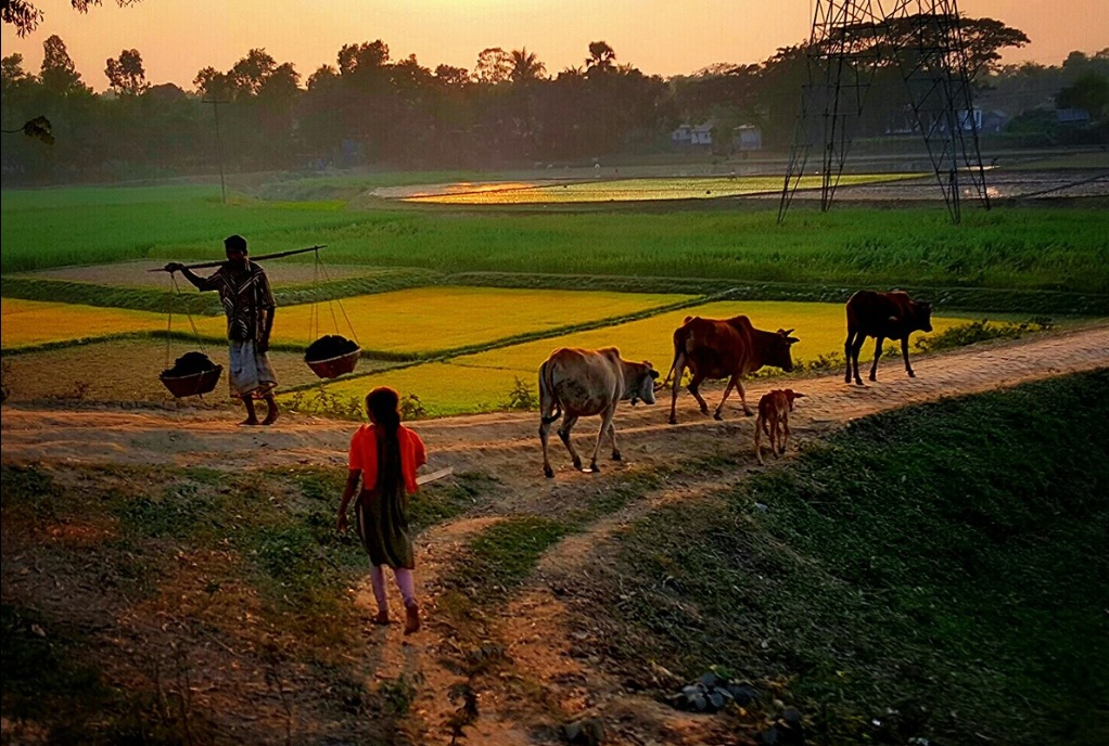 孟加拉国多发洪涝灾害原因,孟加拉国洪涝灾害