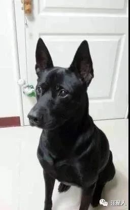 汪见镜头秒伸“嫩白大长腿”摆拍，网友见私密巧思：很懂遮呀