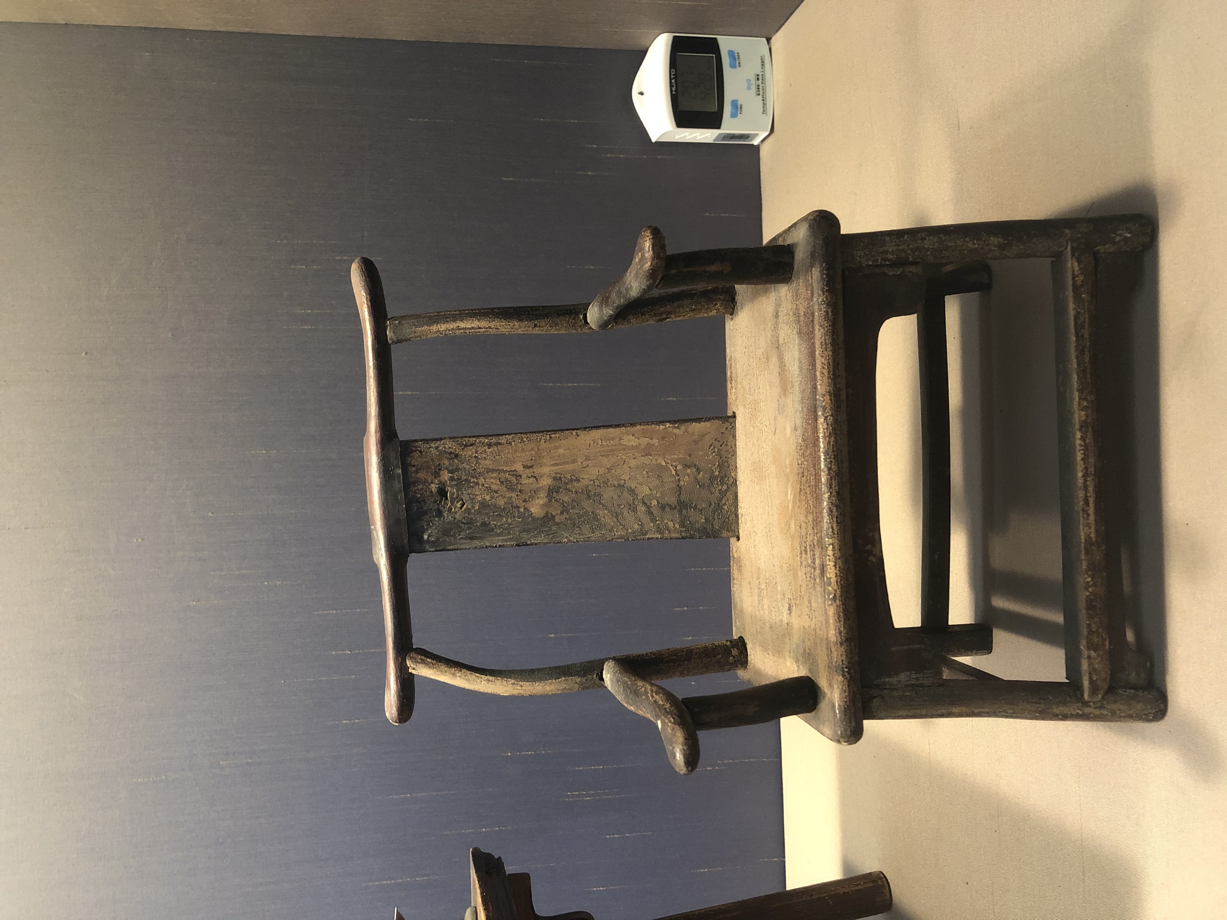 带你云端旅行辛丑年春节,我在苏州“偷”了个早春