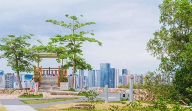 深圳十佳免费湿地公园,深圳十大免费公园排行榜最新名单