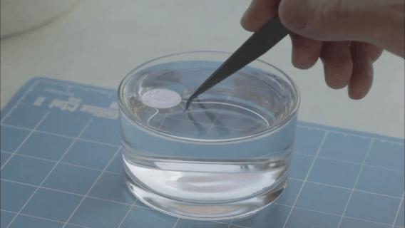 像乌鸦一样思考20集完整版中文,像乌鸦一样思考纪录片全集国语版